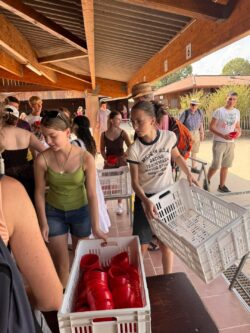 Wyjazd młodzieży do Taizé – 2026 – Parafia Najświętszej Eucharystii w Łodzi